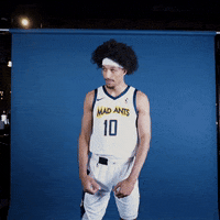 themadants basketball nba lets go hype GIF