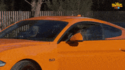 Channel 9 Reaction GIF by The Block