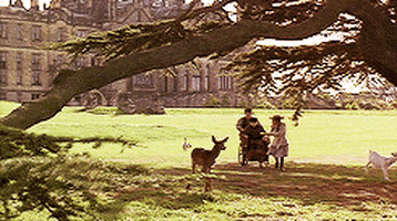 films GIF