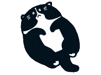 Cat Kitten Sticker