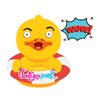 Riviera Maya Fun Sticker by VenturaPark Cancun