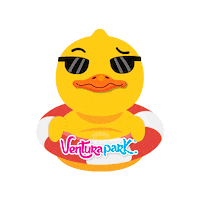Riviera Maya Fun Sticker by VenturaPark Cancun