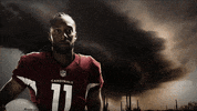 GIF by azcardinals