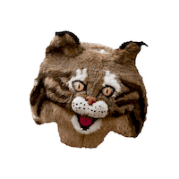 Bobcats Sticker by Bates College Alumni