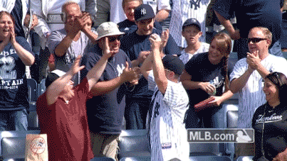 nyy GIF by MLB