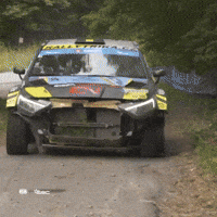 Messed Up Cooler GIF by FIA European Rally Championship
