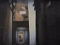 Footage Oaf GIF by jorgemariozuleta