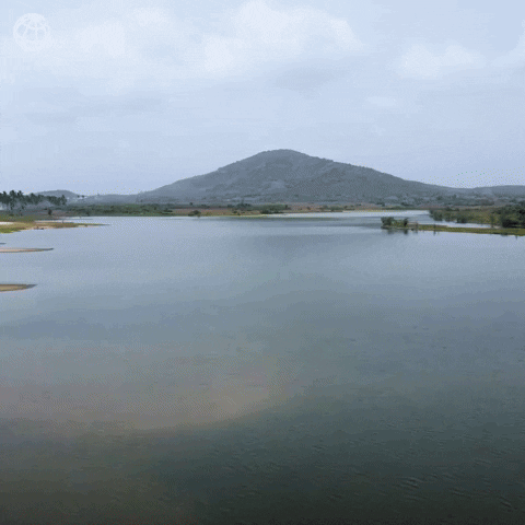 Africa Environment GIF by World Bank