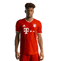 New Jersey King Sticker by FC Bayern Munich