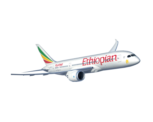 EthiopianAirlinesItaly giphyupload africa ethiopia ethiopian GIF