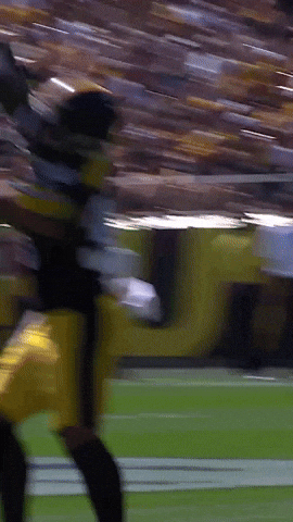 Nfl Rushing GIF by Pittsburgh Steelers