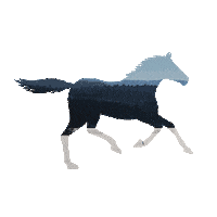 Horse Sticker by Pferdesporthaus Loesdau