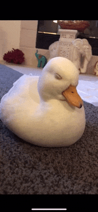 GIF by madmoiZelle