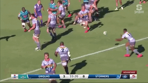 crlew giphygifmaker GIF