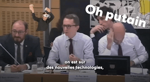 France Nft GIF by Pour un réveil écologique