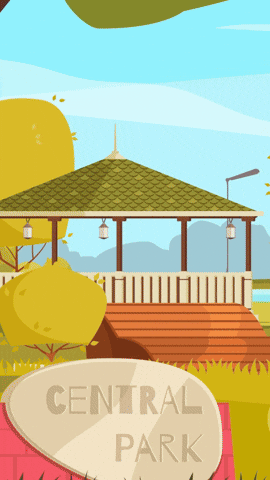 Go Central Park GIF