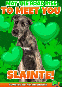 Taylor Ireland GIF by PetJuvenate - PJ