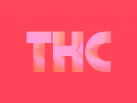 Art Glitch GIF