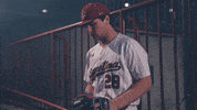 Hitting South Carolina GIF by gamecocksonline