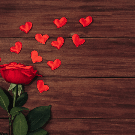 valentiinternational giphygifmaker giphyattribution GIF