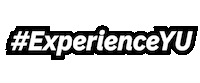 Experience Yu Sticker by York University