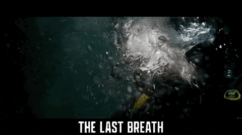 Shark Week Swim GIF by Signature Entertainment