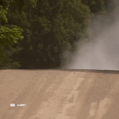 Toyota Yaris Jump GIF by FIA World Rally Championship