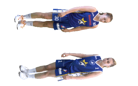 Sport Basketball Sticker by Basket_fi