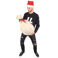 neuton christmas what xmas santa Sticker