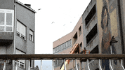 street art loop GIF by A. L. Crego