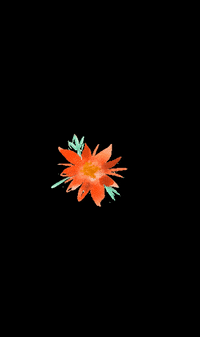 hiroquoi rose noel watercolor hiroquoi GIF