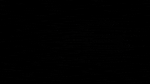 Camp Corrida GIF by adventurecamp