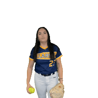 Clarke Softball Sticker by Clarke University