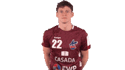 Handball-Bundesliga Handball Sticker by LIQUI MOLY HBL