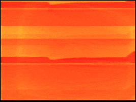 Video Art GIF by cskonopka