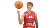 Basketball Hoops Sticker by Basket_fi