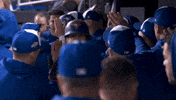 Blue Jays Baseball GIF by Toronto Blue Jays