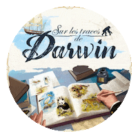 Darwin Sticker by Campustech.fr