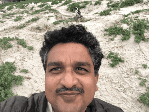 isamvaid giphygifmaker giphyattribution isam vaid GIF
