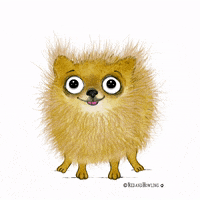 dog love GIF