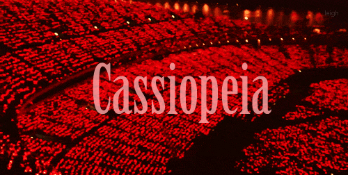 tvxq GIF
