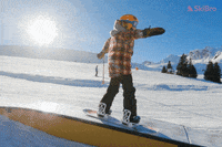 SkiBro skiing skibro GIF