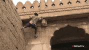 monkeys GIF by Digg