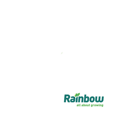 Rainbow Sticker by rainbowagrobrasil