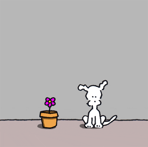 chippythedog giphyupload chippythedog GIF