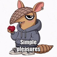 GIF by Chillo Dillo