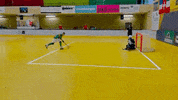 Rollhockey GIF by RSC Cronenberg