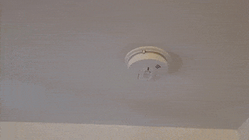Fire Safety GIF by No Cheese Records