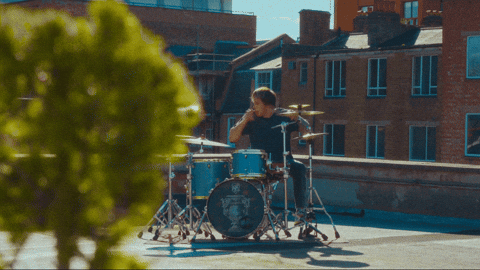 The Home Team Cat GIF by Thriller Records