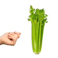 EvolutionFresh drink healthy glow juice Sticker